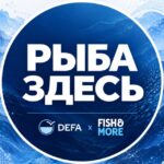 Логотип компании Дефа партнер ООО Сакана